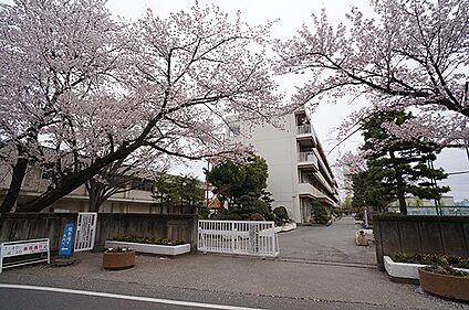 上尾市立東町小学校 920m