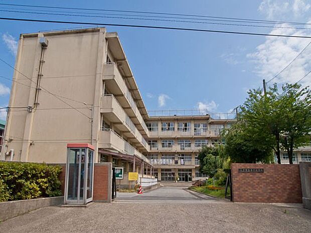 松戸市立第六中学校(約1,007m・徒歩13分)