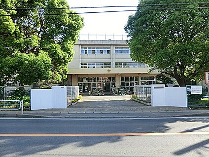 柏市立酒井根小学校 800m(10分)
