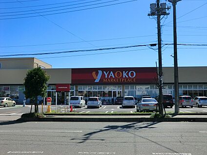 ヤオコー 入間下藤沢店 1100m