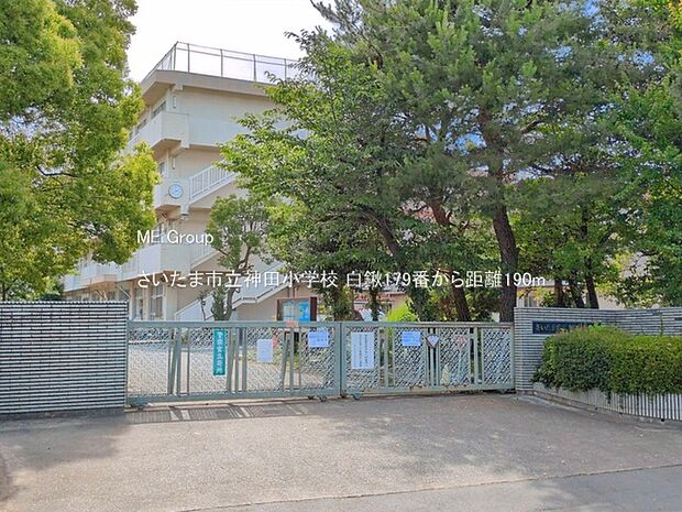 さいたま市立神田小学校(約190m)