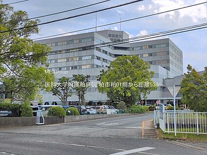 医科大学附属柏病院 530m