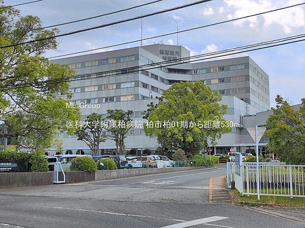 医科大学附属柏病院（約530m）