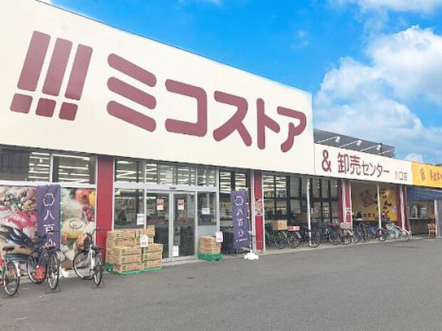 ミコストア 川口店（約900m・徒歩12分）