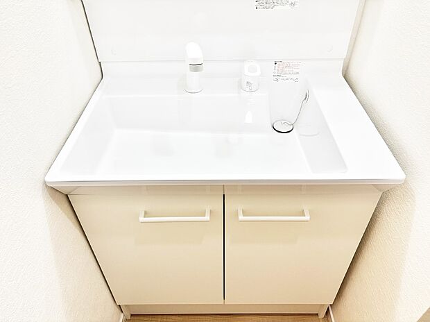 【その他設備(ハンドシャワー水栓)】ハンドシャワー付き！使いやすい洗面台。