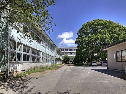 我孫子市立我孫子第二小学校 385m