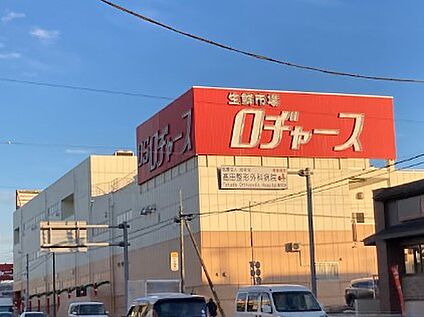ロヂャース 新座店 850m