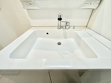 その他設備(ハンドシャワー水栓)