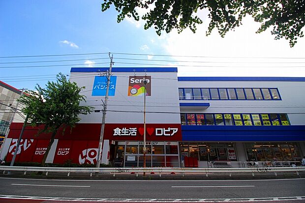 ロピア・ノジマ馬絹店(電気店のノジマと同じ建物にあります。ロープライスのユートピアを作ることを目標にしています。 )
