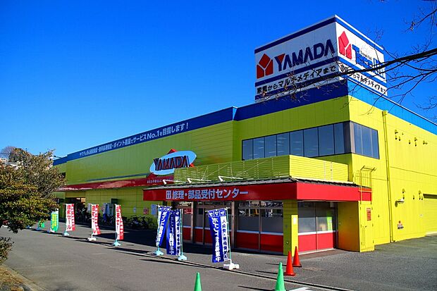 ヤマダデンキテックランド向ヶ丘店（約600m）