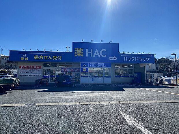 ハックドラッグ長沢店（約900m）