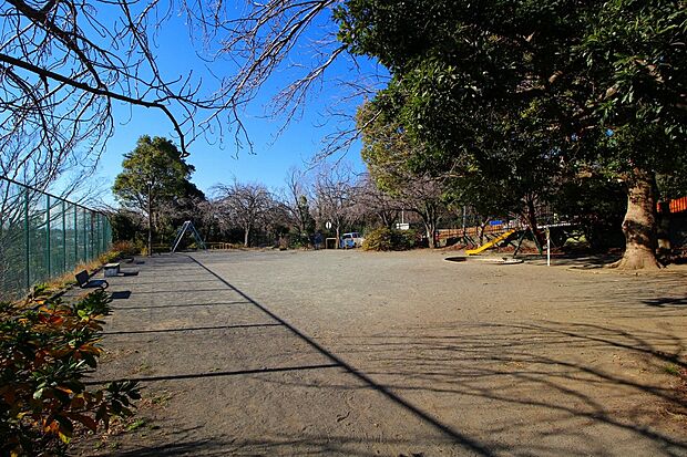 高山さくら公園(約450m・徒歩6分)