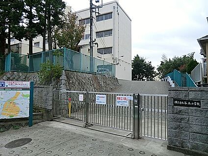 谷本小学校 400m(5分)