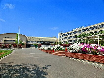 柿生小学校 1100m(14分)