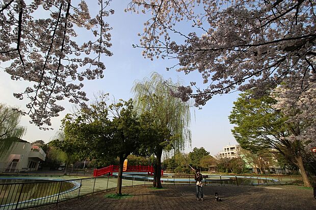 菊名池公園（約900m）