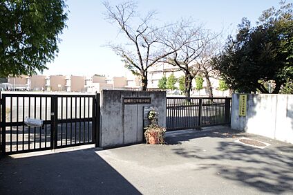 稲城市立平尾小学校　 1000m(13分)