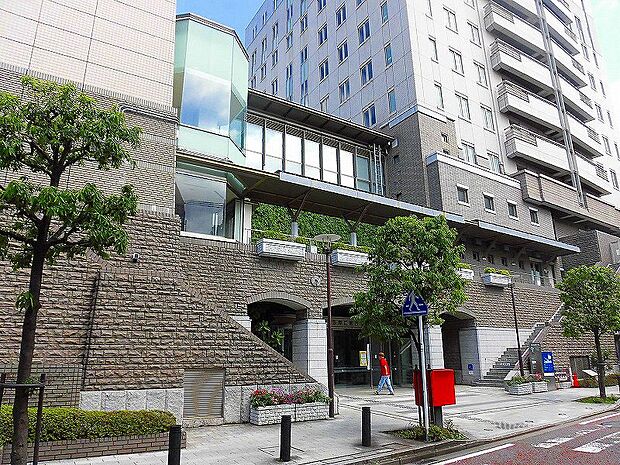 区役所（市民館図書館）（約850m）