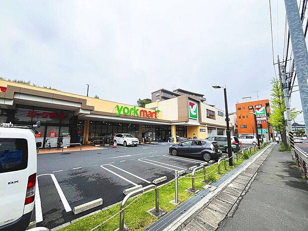 ヨークマート川崎野川店（約1,000m・徒歩13分）