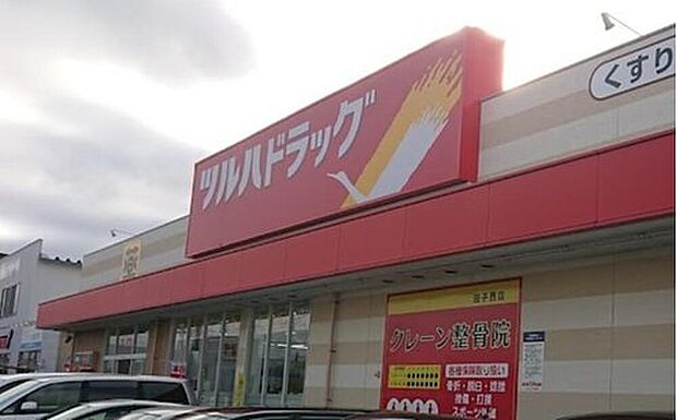ツルハドラッグ田子西店（約1,600m）