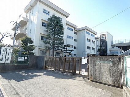 市川市立第八中学校 560ｍ