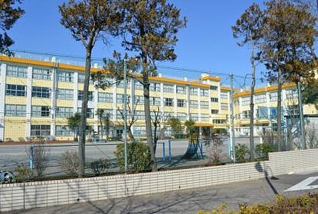江戸川区立篠崎第三小学校(約430m)
