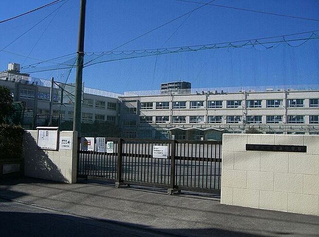 葛飾区立桜道中学校（約1,150m）