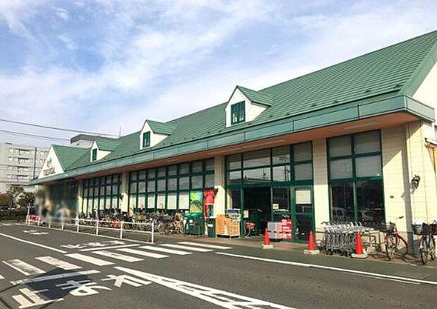マルエツ市川菅野店(約500m)