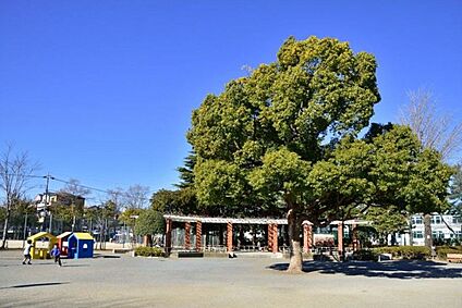 小岩公園 390m(徒歩5分)