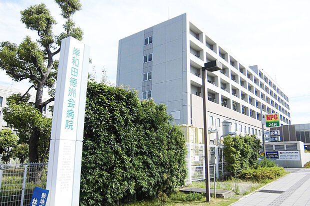 岸和田徳洲会病院（約800m）