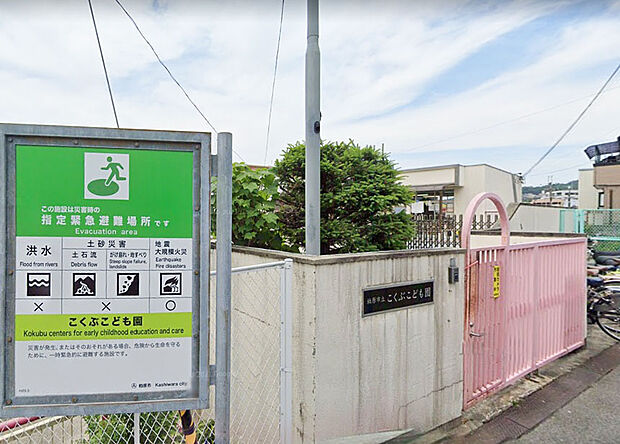 認定こくぶこども園