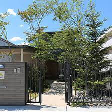 まめのき保育園