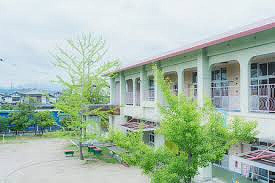 大安寺西しろはとこども園