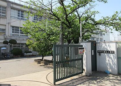 東大阪市立若江小学校 徒歩800m