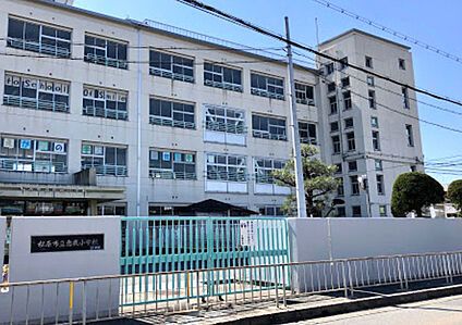 松原市立恵我小学校 徒歩1115m