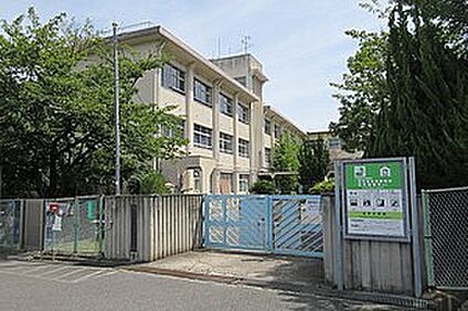 柏原市立玉手小学校 徒歩320m