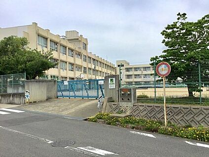 堺市立八田荘小学校 徒歩850m