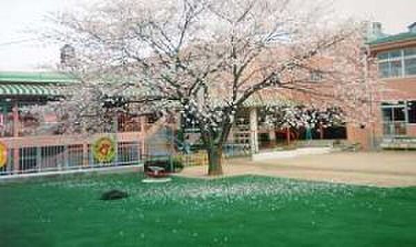 広野幼稚園