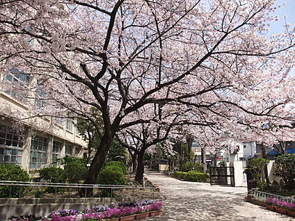 尼崎市立園田中学校 徒歩797m