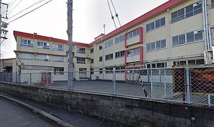 藤井寺市立道明寺南小学校 徒歩800m