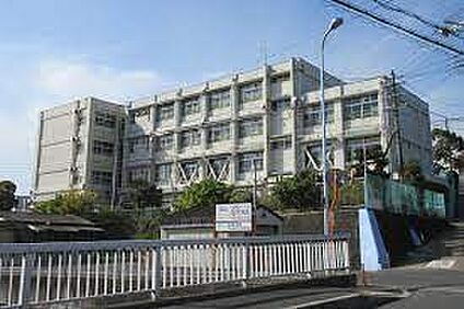 羽曳野市立丹比小学校 徒歩500m