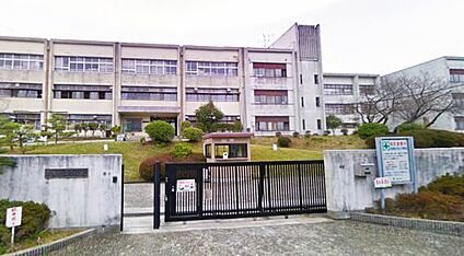 羽曳野市立羽曳が丘小学校 徒歩998m