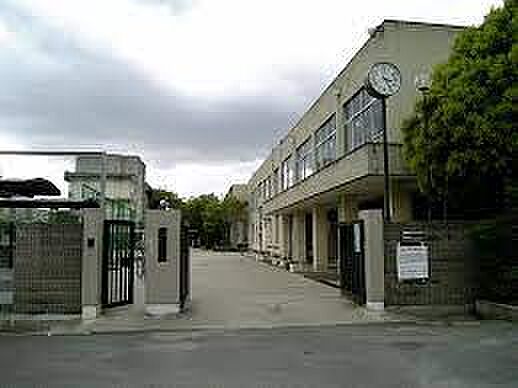 八尾市立大正中学校