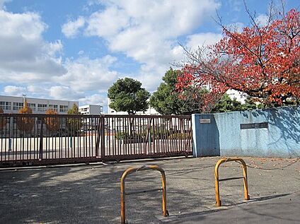 高槻市立富田小学校 徒歩560m