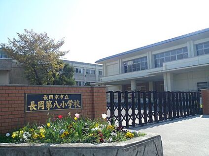 長岡京市立長岡第八小学校 徒歩700m