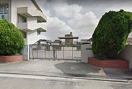 堺市立三宝小学校 徒歩842m