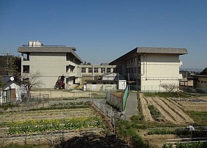 斑鳩町立斑鳩中学校 徒歩1600m