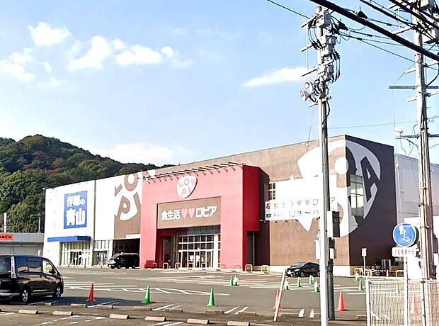 ロピア福岡白水(春日フォレストシティ)(約500m)