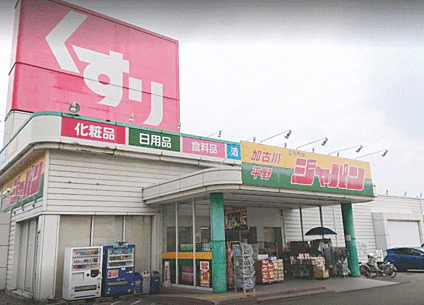 ジャパン加古川平野店 290ｍ(徒歩4分)