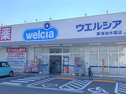 ウエルシア 東海加木屋店 約850m(徒歩約11分　自転車約4分)