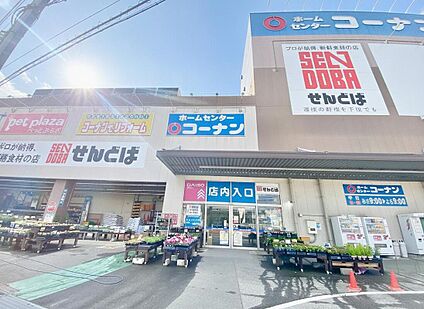 せんとば船橋店 953ｍ